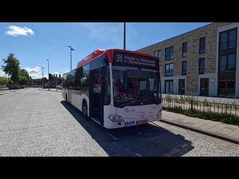 EBS buslijn 31 DEN HAAG LEYENBURG -  HOEK VAN HOLLAND HAVEN | omleiding | 2022