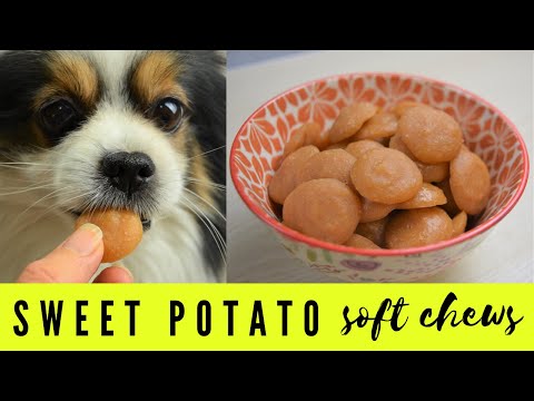 Sweet Potato Dog Treats - Healthy and Delicious - Low Calorie Dog Treats