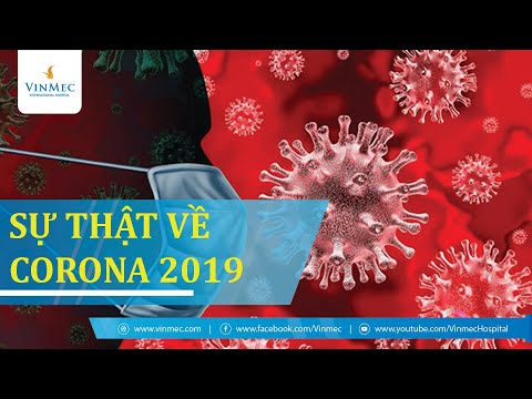 WHO: Thông tin đầy đủ và dễ hiểu về virus Corona mới (2019-nCoV)