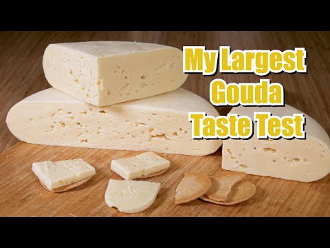 My Largest Gouda Taste Test