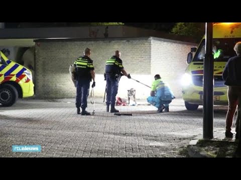 Trouwe hond laat niemand in de buurt van gewond baasje - RTL NIEUWS