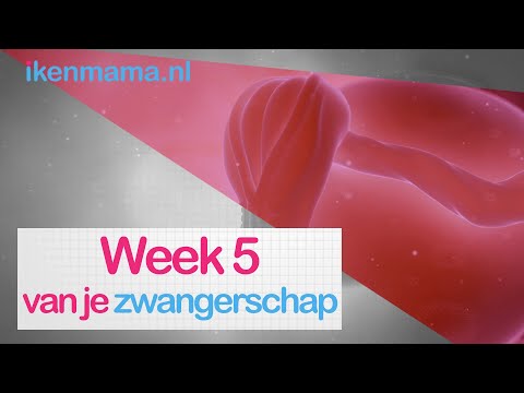 5 weken zwanger? Bekijk symptomen, informatie over de echo en je kindje | ikenmama.nl