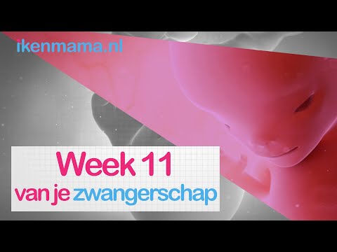 11 weken zwanger | ikenmama.nl