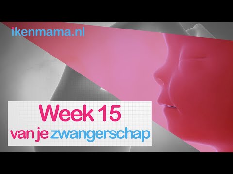 15 weken zwanger | ikenmama.nl