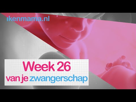 26 weken zwanger? Bekijk symptomen, echo, je buik en info over bevallen | ikenmama.nl