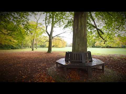Wassenaar-Nieuw-BuisevanSoest Wassenaar-Nieuw-BuisevanSoest