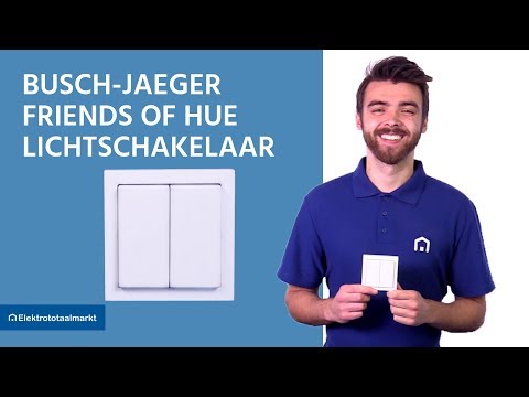 Busch Jaeger Friends of Hue lichtschakelaar - Elektrototaalmarkt.nl