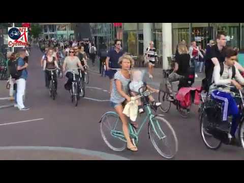 Vredenburg, Utrecht. Busiest cycle path in the Netherlands [545]