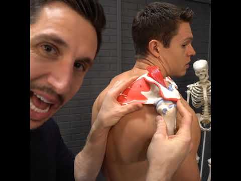 Shoulder Pain? Scapula Scoop Instructional -MoveU