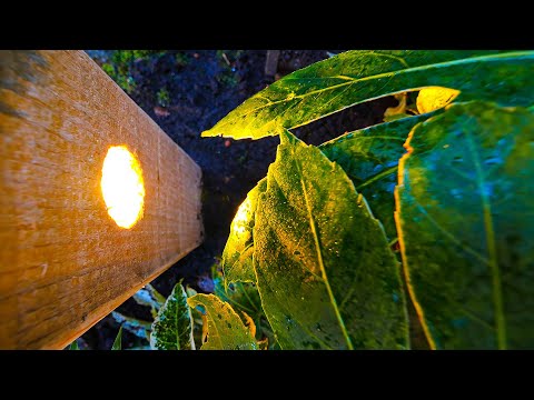 Zelf buiten verlichting bouwen van hout voor opa