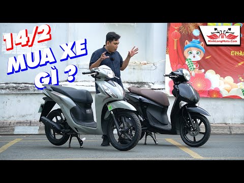 Mua xe gì để làm quà 14/2 cho người yêu ? Janus | Vision