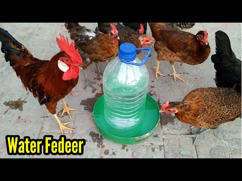 Homemade Easy & Simple PLASTIC Water Feeder Tank \\ Automatic Chicken Drink Water || 3MB Vlogs