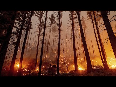 How do wildfires start?