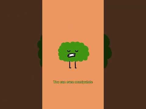 Why Do Farts Have Different Sounds? 🍑💨